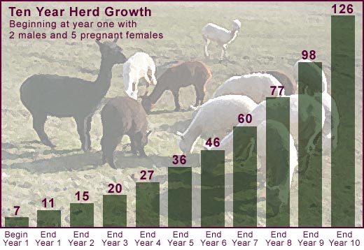 Herd Growth Chart