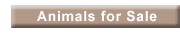 Animals For Sale