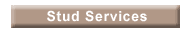 Stud Services